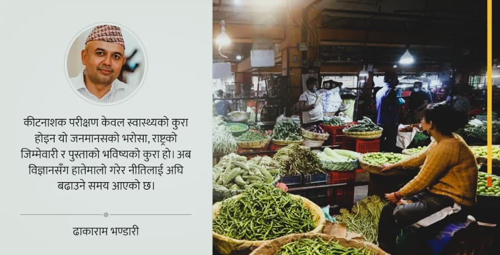 विषादीको छायाँमा हाम्रो थाली: फलफूल र तरकारीको साँचो मापन कहिले? Featured Image
