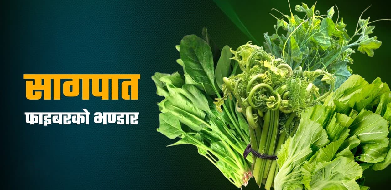 एक मुठ्ठी साग: स्वाद मात्र होइन, स्वास्थ्यको पनि खजाना : सागपातको 'ओभरडोज' Featured Image