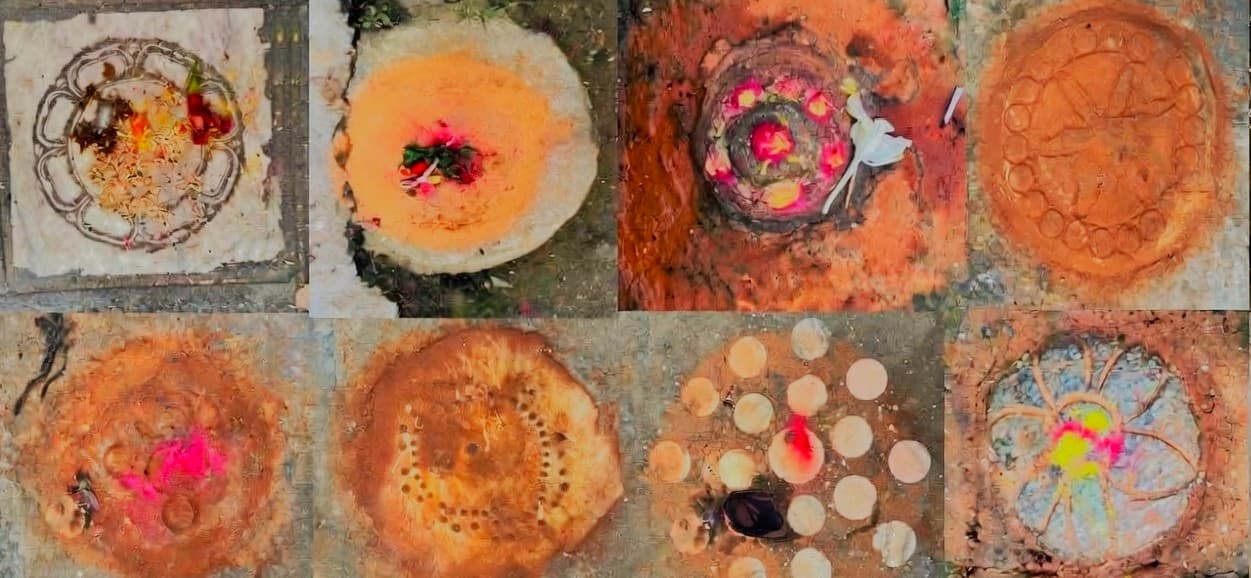 पिखालखु:जन्मदेखि मृत्युसम्मको साथी Featured Image